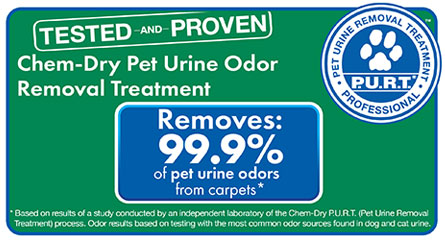 Our Pet Urine and Odor Removal Treatment removes 99.9% of pet odors